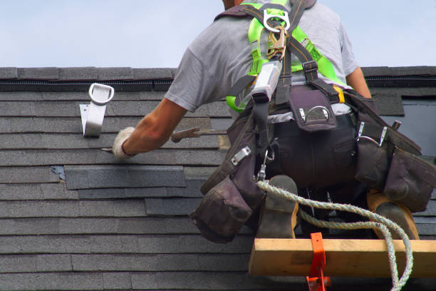 Best Metal Roofing Contractor  in Troup, TX