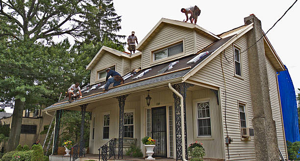 Best Shingle Roofing Installation  in Troup, TX